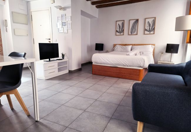 Estudio en Valencia - Flats Friends Tetuan Estudio