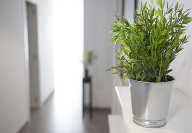 Apartamento en Valencia - Flats Friends Tetuan 1 dormitorio con terraza Apartamento en Valencia - Flats Friends Tetuan 1 dormitorio con terraza