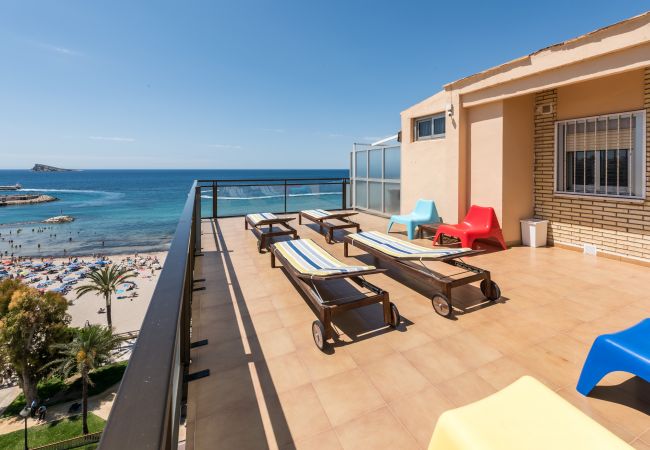 Estudio en Benidorm - Flats Friends Atlantida Estudio Lateral Estudio en Benidorm - Flats Friends Atlantida Estudio Lateral