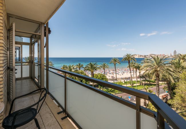 Estudio en Benidorm - Flats Friends Atlantida Estudio Lateral Estudio en Benidorm - Flats Friends Atlantida Estudio Lateral