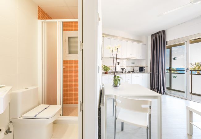 Estudio en Benidorm - Flats Friends Atlantida Estudio Lateral Estudio en Benidorm - Flats Friends Atlantida Estudio Lateral