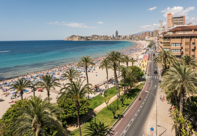 Estudio en Benidorm - Flats Friends Atlantida Estudio Lateral Estudio en Benidorm - Flats Friends Atlantida Estudio Lateral