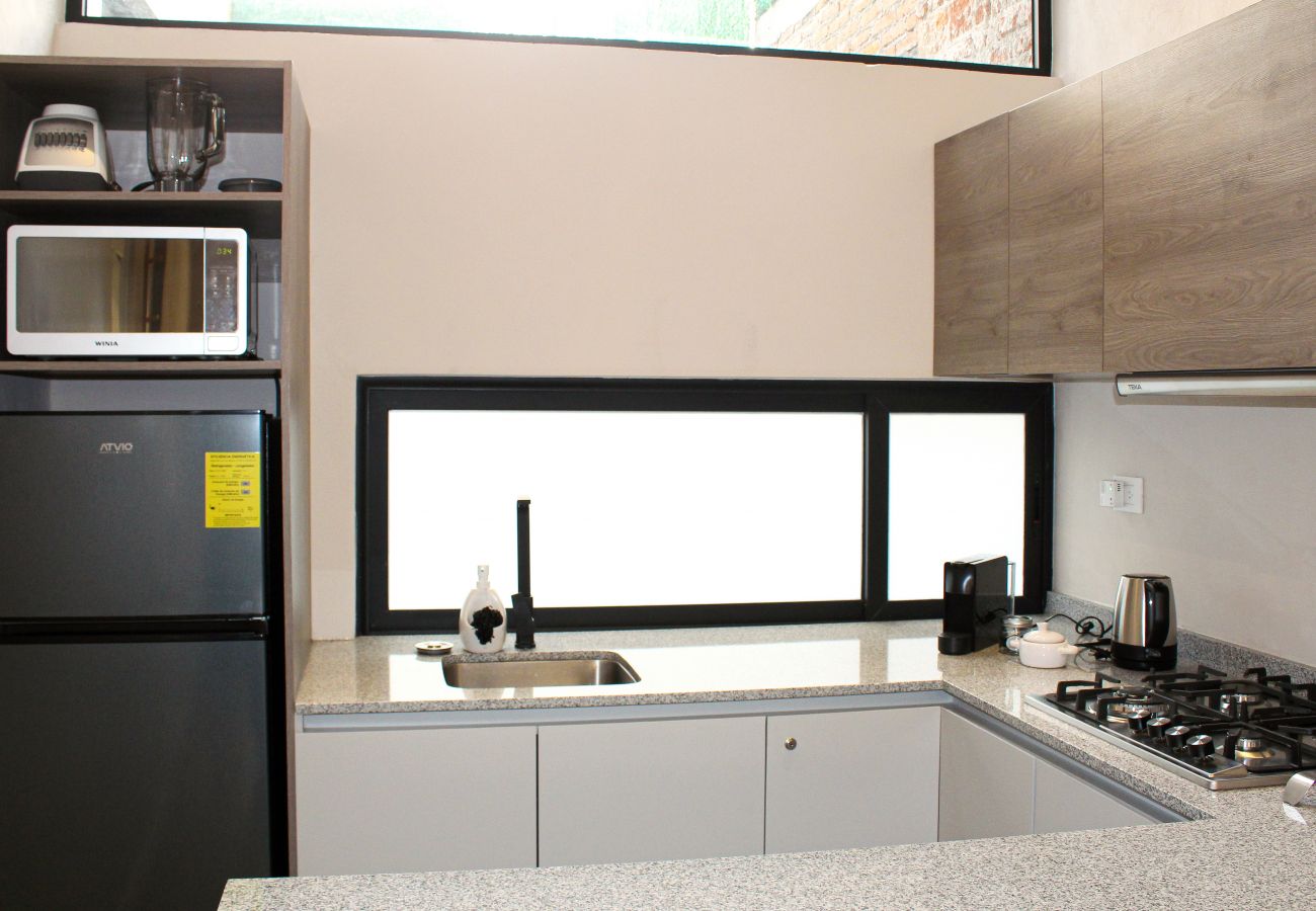 Apartamento en Ciudad de México - Casa Tonalá - Apartamento con balcón Apartamento en Ciudad de México - Casa Tonalá - Apartamento con balcón