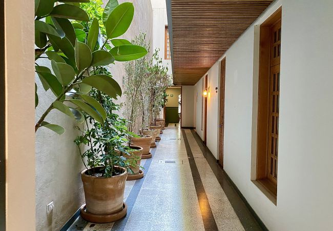 Apartamento en Ciudad de México - Flats Friends Puebla 1 habitación - planta baja Apartamento en Ciudad de México - Flats Friends Puebla 1 habitación - planta baja