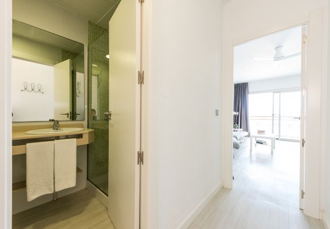 Studio in Benidorm - Flats Friends Atlantida Sea View Studio Studio in Benidorm - Flats Friends Atlantida Sea View Studio