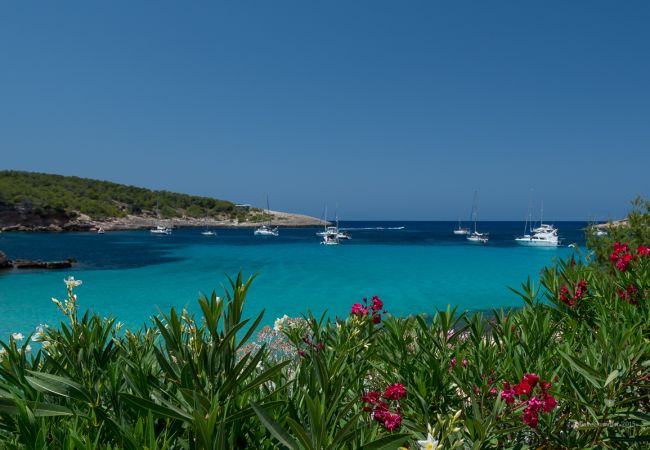 Studio in Sant Joan de Labritja - Flats Friends Es Puet Blanc Studio Sea View Studio in Sant Joan de Labritja - Flats Friends Es Puet Blanc Studio Sea View
