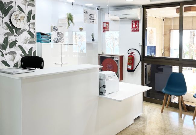 Rent by room in Benidorm - Flats Friends Hotel Mar Blau Double Budget Rent by room in Benidorm - Flats Friends Hotel Mar Blau Double Budget