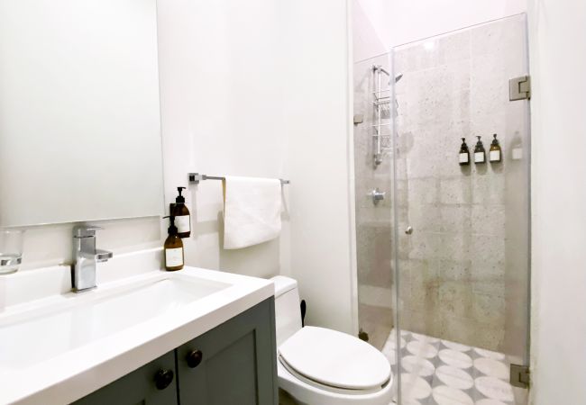 Apartment in Ciudad de México - Flats Friends Puebla 1 bedroom Apartment in Ciudad de México - Flats Friends Puebla 1 bedroom