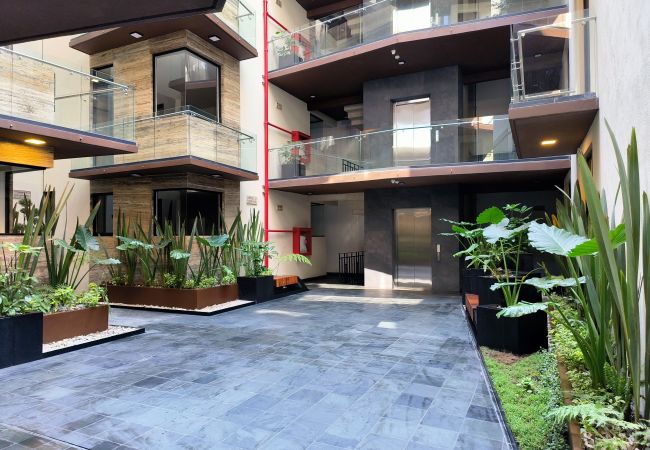 Appartement à Ciudad de México - Flats Friends Condesa-Pelotari 2 chambres Appartement à Ciudad de México - Flats Friends Condesa-Pelotari 2 chambres