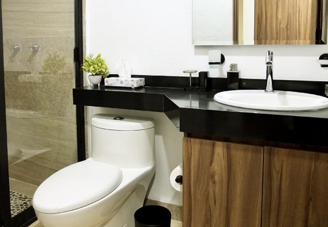 Appartement à Ciudad de México - Flats Friends Condesa-Pelotari 2 chambres Appartement à Ciudad de México - Flats Friends Condesa-Pelotari 2 chambres