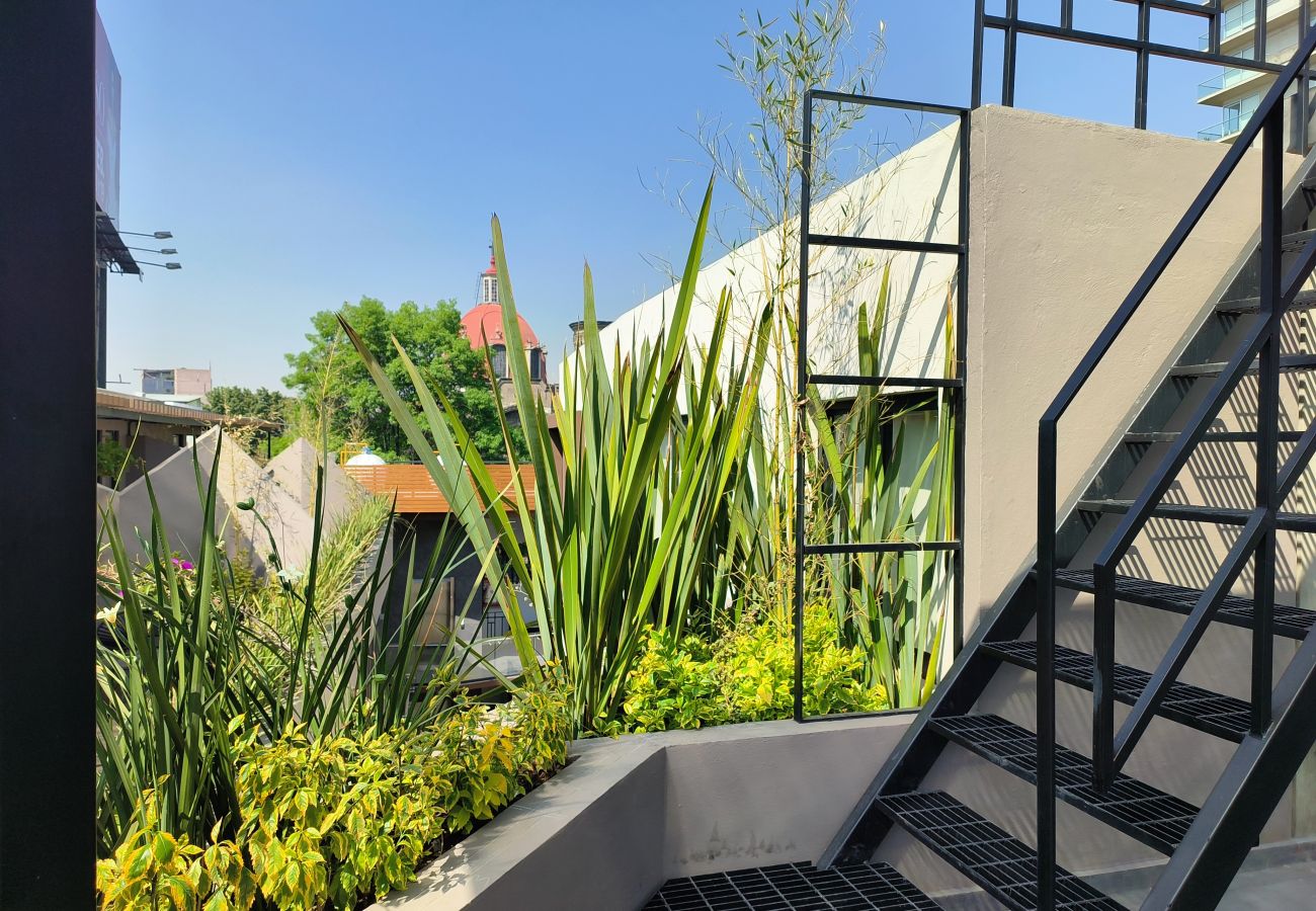 Appartement à Ciudad de México - Flats Friends Condesa-Pelotari 2 chambres Appartement à Ciudad de México - Flats Friends Condesa-Pelotari 2 chambres