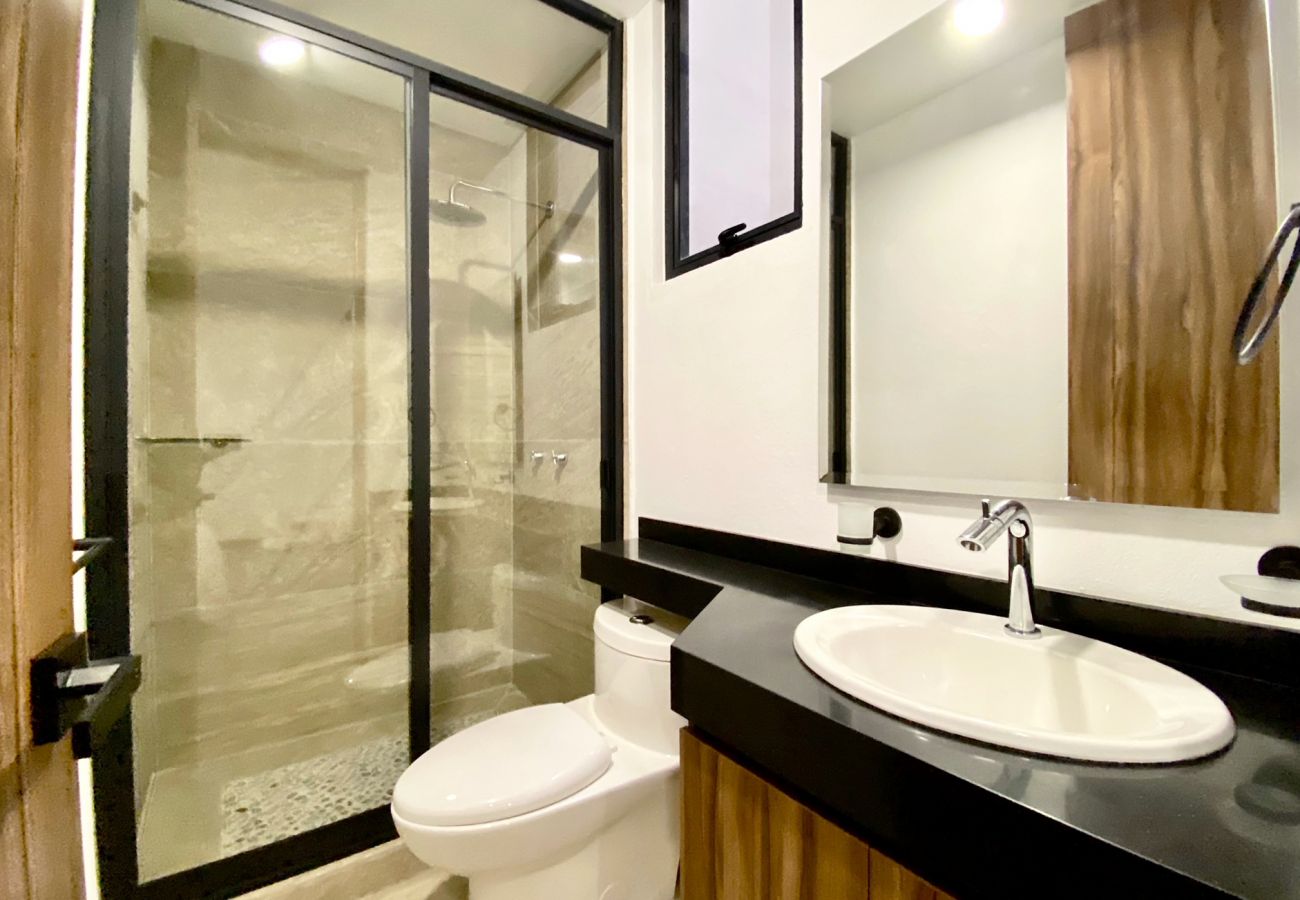 Appartement à Ciudad de México - Flats Friends Condesa-Pelotari 2 chambres Appartement à Ciudad de México - Flats Friends Condesa-Pelotari 2 chambres